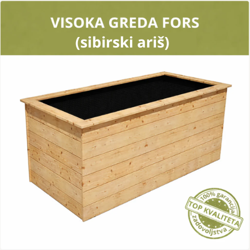 VISOKA GREDICA - FORS